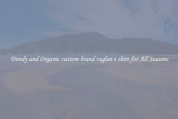 Trendy and Organic custom brand raglan t shirt for All Seasons