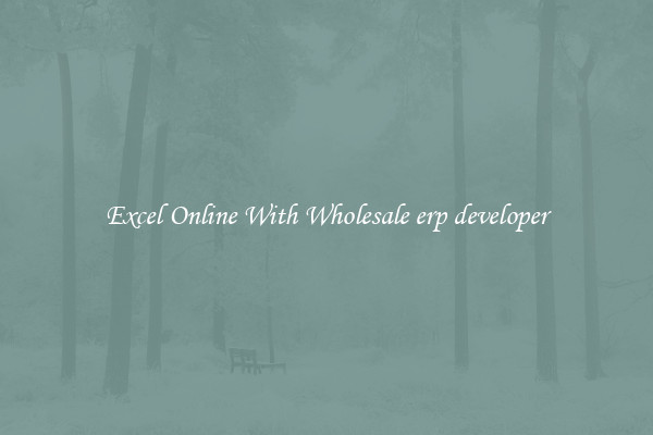 Excel Online With Wholesale erp developer