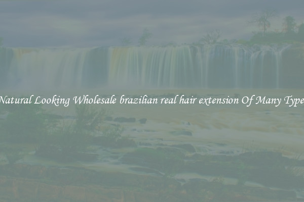 Natural Looking Wholesale brazilian real hair extension Of Many Types