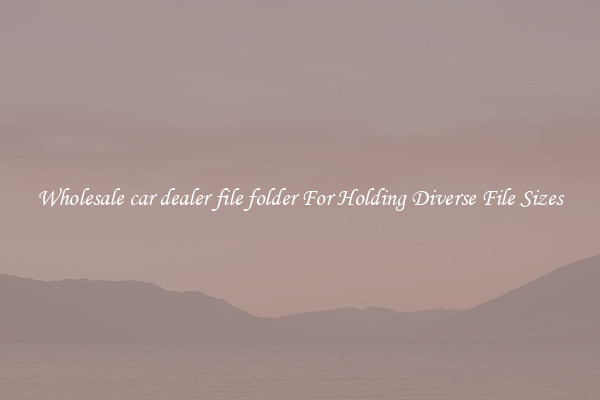Wholesale car dealer file folder For Holding Diverse File Sizes
