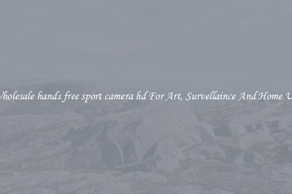 Wholesale hands free sport camera hd For Art, Survellaince And Home Use
