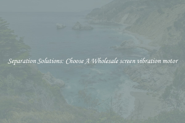 Separation Solutions: Choose A Wholesale screen vibration motor