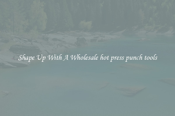 Shape Up With A Wholesale hot press punch tools