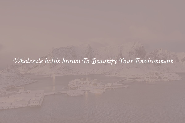 Wholesale hollis brown To Beautify Your Environment