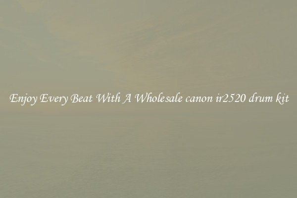 Enjoy Every Beat With A Wholesale canon ir2520 drum kit
