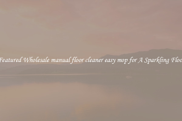Featured Wholesale manual floor cleaner easy mop for A Sparkling Floor