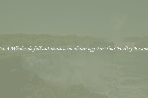 Get A Wholesale full automatica incubator egg For Your Poultry Business