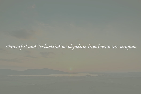 Powerful and Industrial neodymium iron boron arc magnet