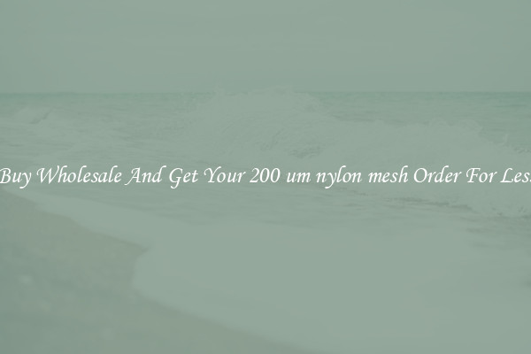 Buy Wholesale And Get Your 200 um nylon mesh Order For Less