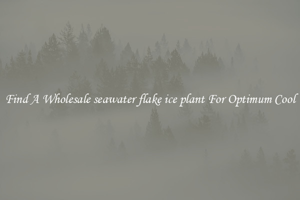 Find A Wholesale seawater flake ice plant For Optimum Cool