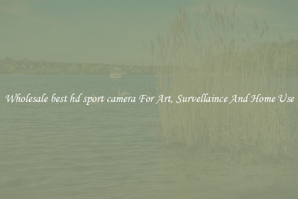 Wholesale best hd sport camera For Art, Survellaince And Home Use