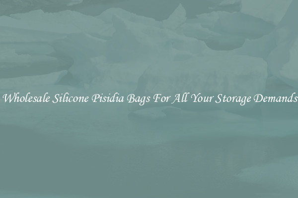 Wholesale Silicone Pisidia Bags For All Your Storage Demands